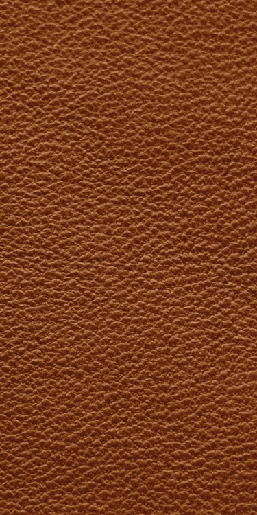 Rane TTM 56 Skin Leather